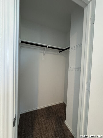 14803 Brandy Bnd Property Photo 28
