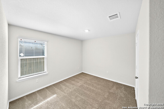 12118 Pease River Property Photo 14