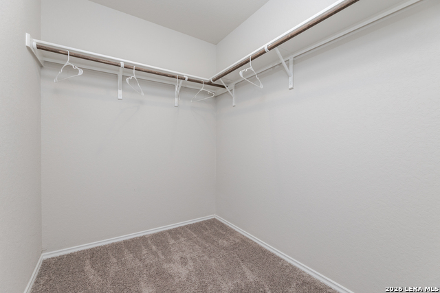 10814 Prusiner Dr Property Photo 23
