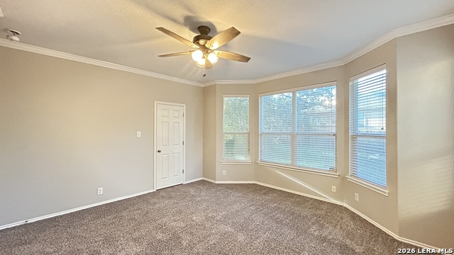 12155 Karnes Way Property Photo 14