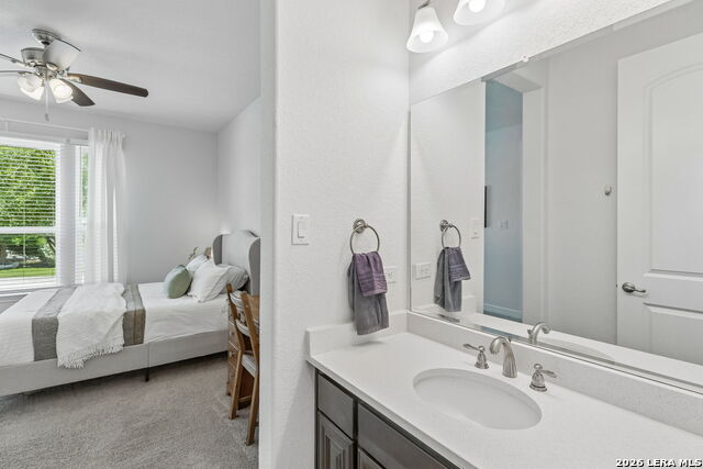 8529 Dana Elms Property Photo 17