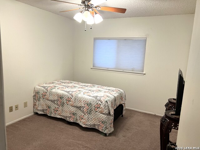 16522 Eagle Cross Dr Property Photo 13