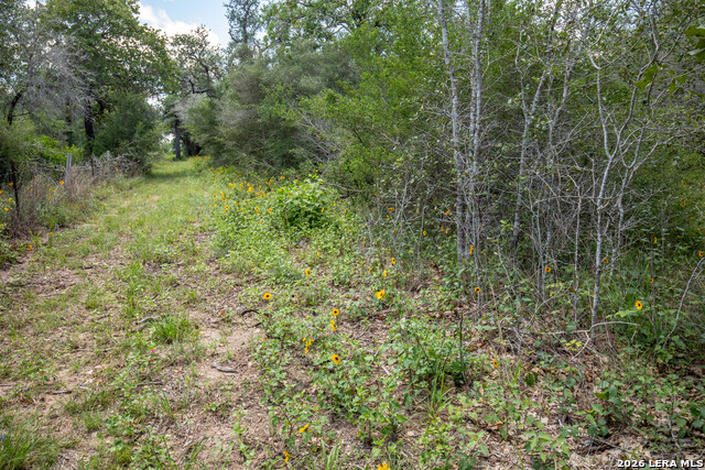 9393 E Us Highway 87 Property Photo 18