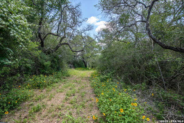 9393 E Us Highway 87 Property Photo 21