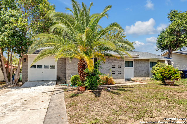 4303 Sunshadow Property Photo 2