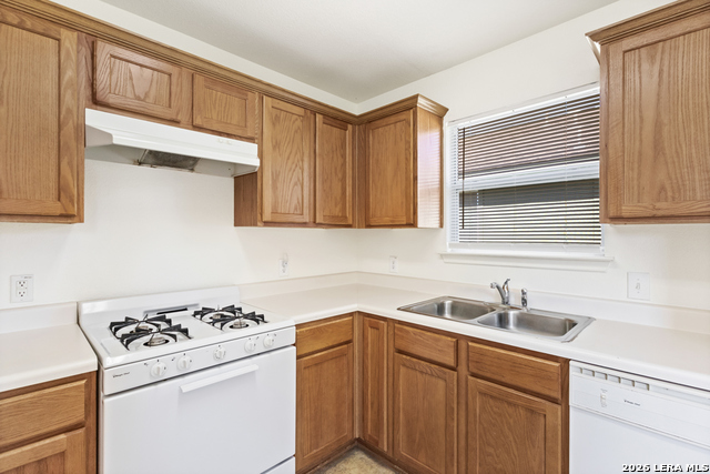 8519 Snakeweed Property Photo 15