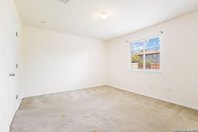 8519 Snakeweed Property Photo 17