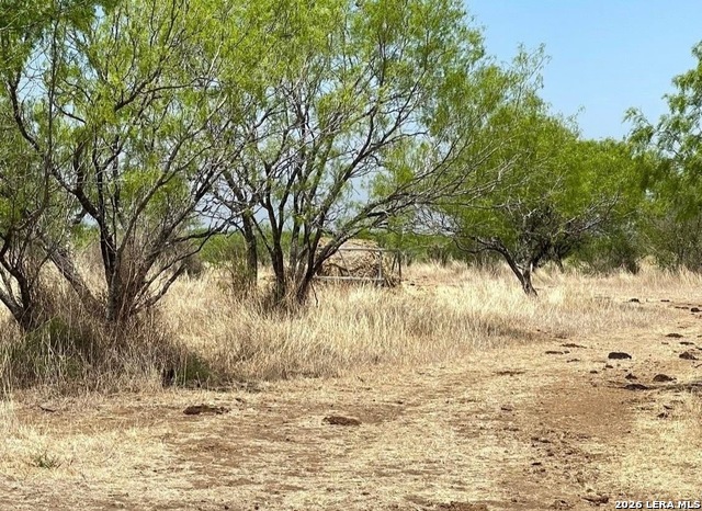 3968 Bluntzer Rd Property Photo 9