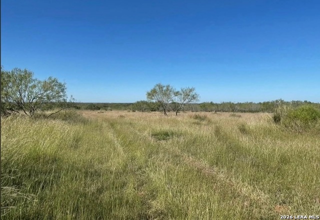 3968 Bluntzer Rd Property Photo 15