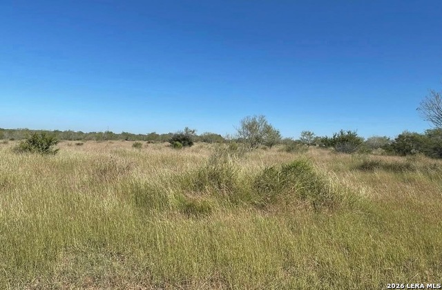 3968 Bluntzer Rd Property Photo 16