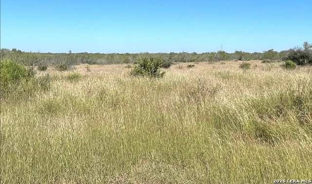 3968 Bluntzer Rd Property Photo 17