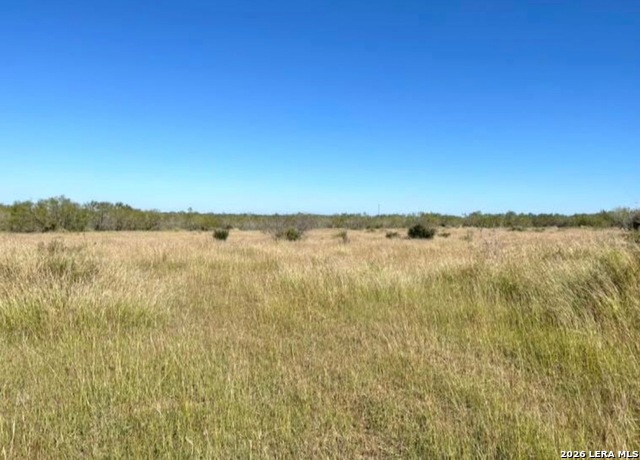 3968 Bluntzer Rd Property Photo 20