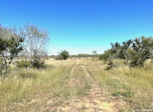 3968 Bluntzer Rd Property Photo 22