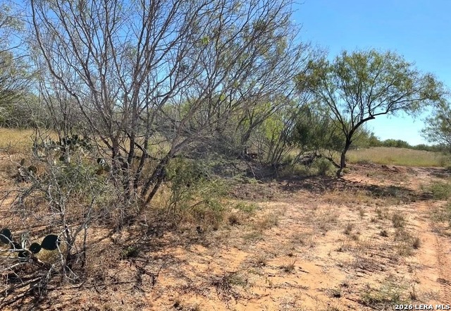 3968 Bluntzer Rd Property Photo 25