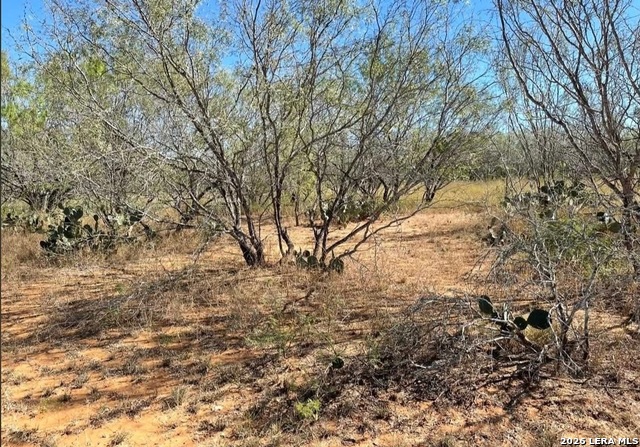 3968 Bluntzer Rd Property Photo 26