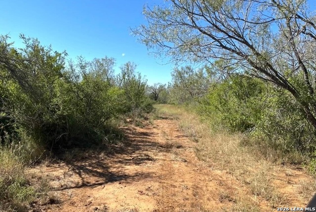 3968 Bluntzer Rd Property Photo 28