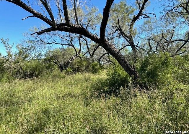 3968 Bluntzer Rd Property Photo 29