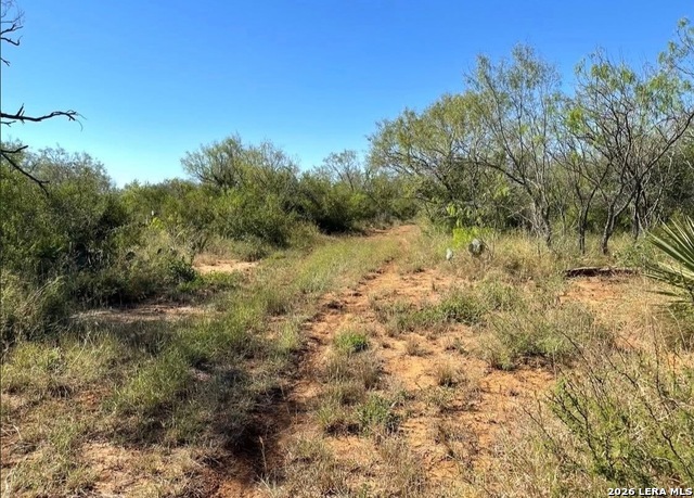 3968 Bluntzer Rd Property Photo 31