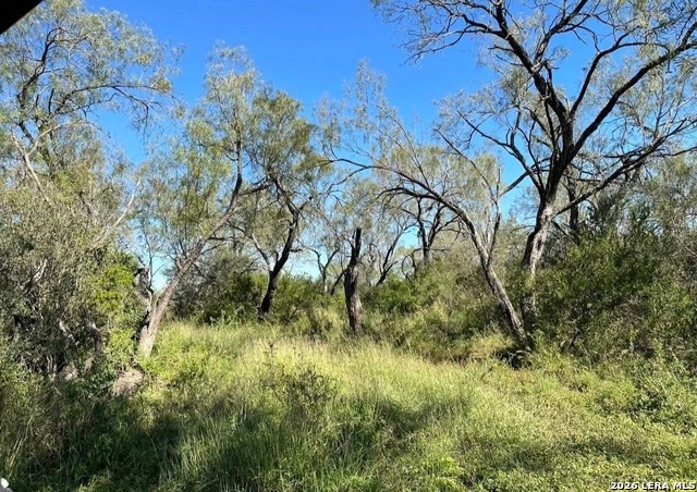 3968 Bluntzer Rd Property Photo 32