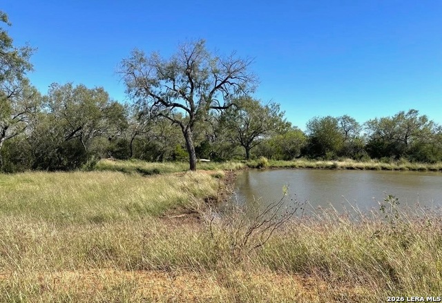 3968 Bluntzer Rd Property Photo 35