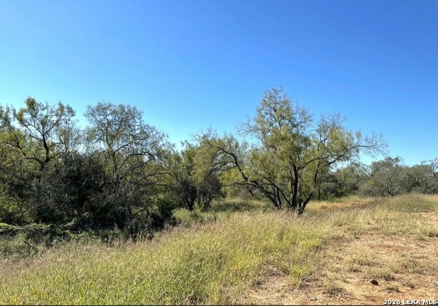3968 Bluntzer Rd Property Photo 38
