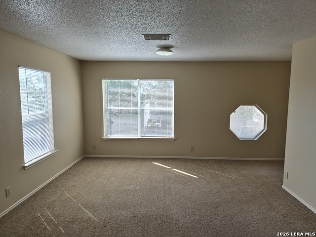 39 Weathering Creek Property Photo 13