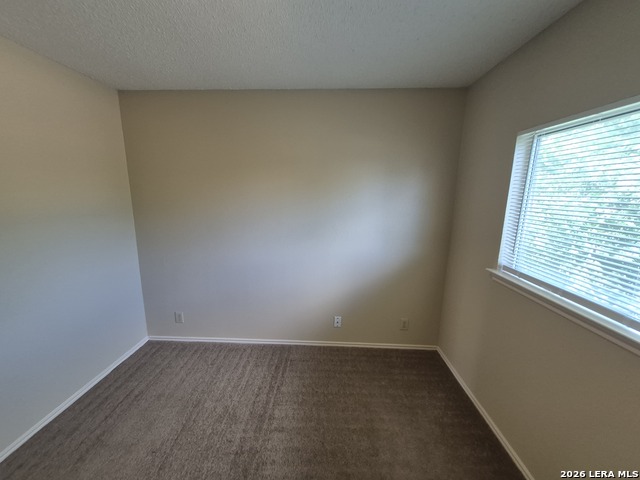 39 Weathering Creek Property Photo 22
