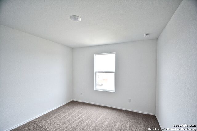3812 Far Horizon Property Photo 15