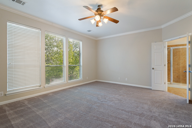 722 Aster Trail Property Photo 17