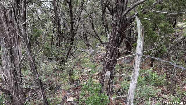 Pr 1718 Lot 42 Pr 1718 Property Photo 12