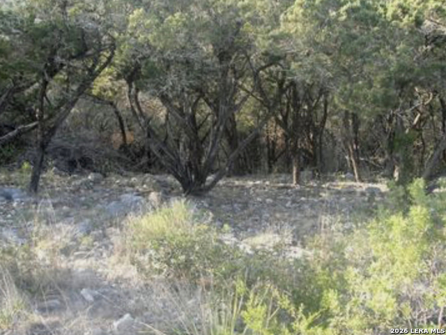 Pr 1718 Lot 42 Pr 1718 Property Photo 13