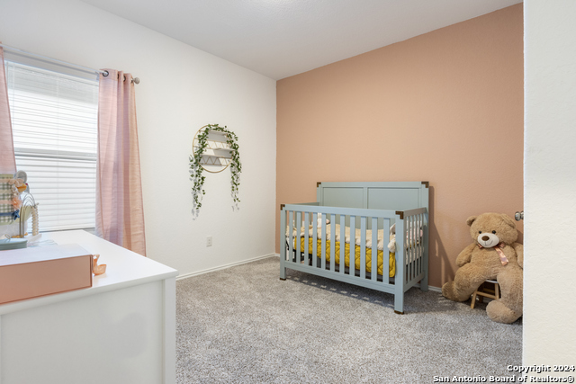 14666 Emerio Dr Property Photo 17