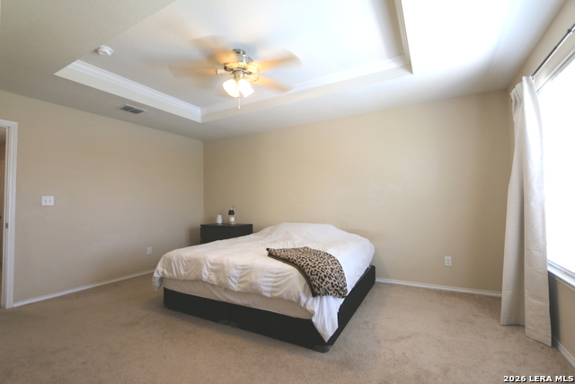 449 Auburn Park Property Photo 19