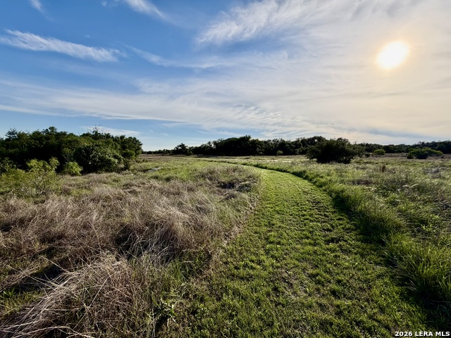 3513 N Us Highway 281 Property Photo 73