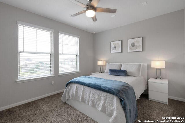 13107 Braxon Pass Property Photo 16