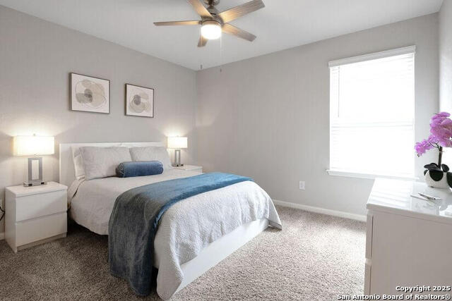 13107 Braxon Pass Property Photo 19