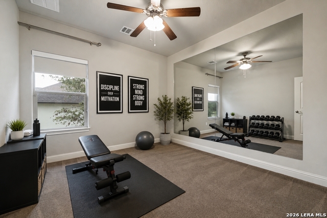 103 Palisades Property Photo 30