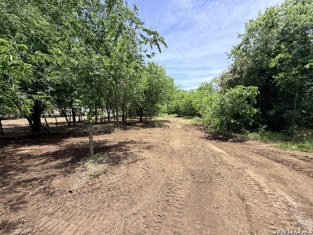 1 Acre Fm 471 Property Photo 1