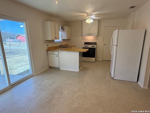 889 Tampico Circle Property Photo 7