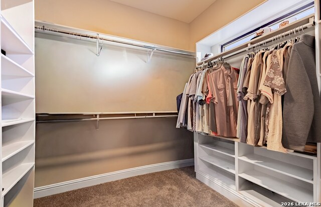 7328 Fm 1021 Property Photo 35