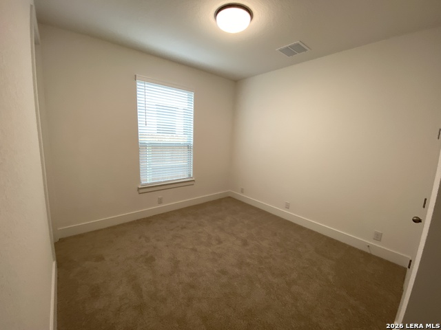 1032 Easy Gruene Property Photo 16