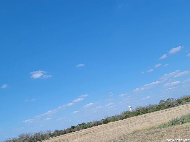 12384 Schaefer Rd Property Photo 5
