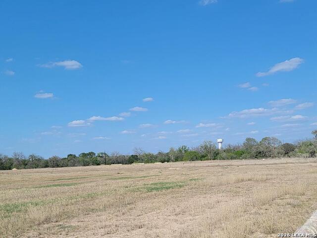 12384 Schaefer Rd Property Photo 8