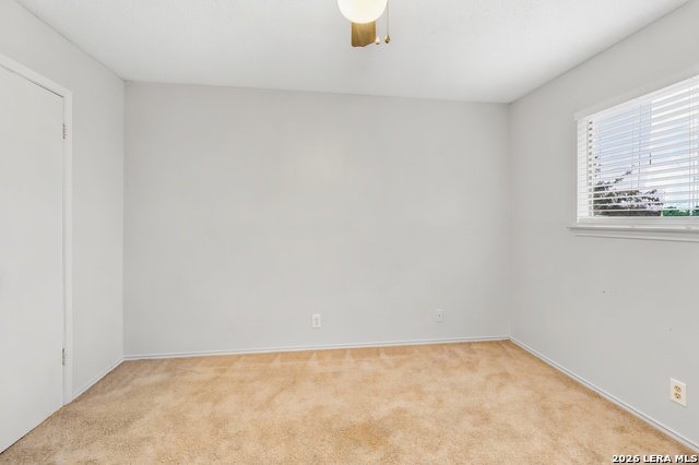6867 Betty Levy Property Photo 12