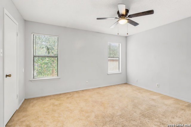 6867 Betty Levy Property Photo 13