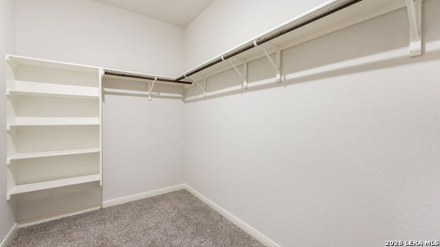 10226 Juniper Oaks Property Photo 16