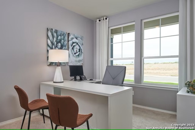 13747 Redtail Landing Property Photo 20