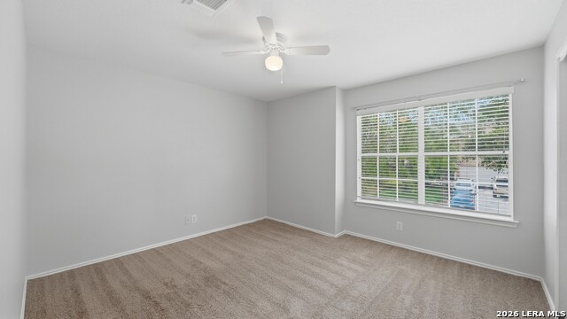 214 Hallie Cv Property Photo 34