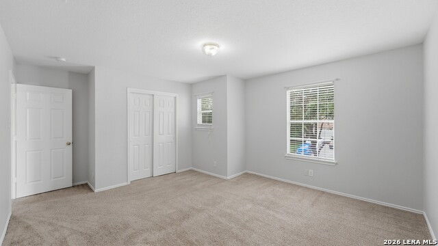 214 Hallie Cv Property Photo 37