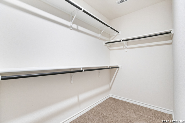 187 Scarlet Macaw Property Photo 18